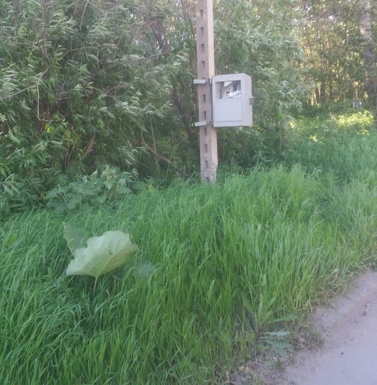 Карта видеокамер с радарами в Вологде | Камера на Пошехонке у Шелла Фото из ВК.